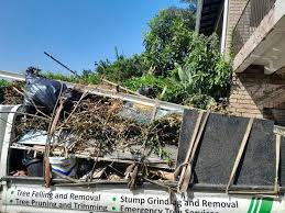 Best Dumpster Rental Services in East San Gabriel, CA